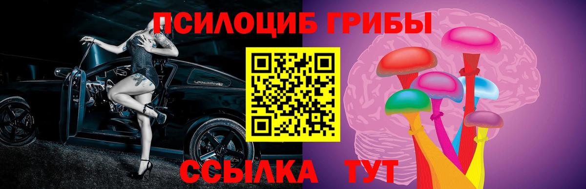 Галлюциногенные грибы Psilocybe  Вход с VPN  Ейск 