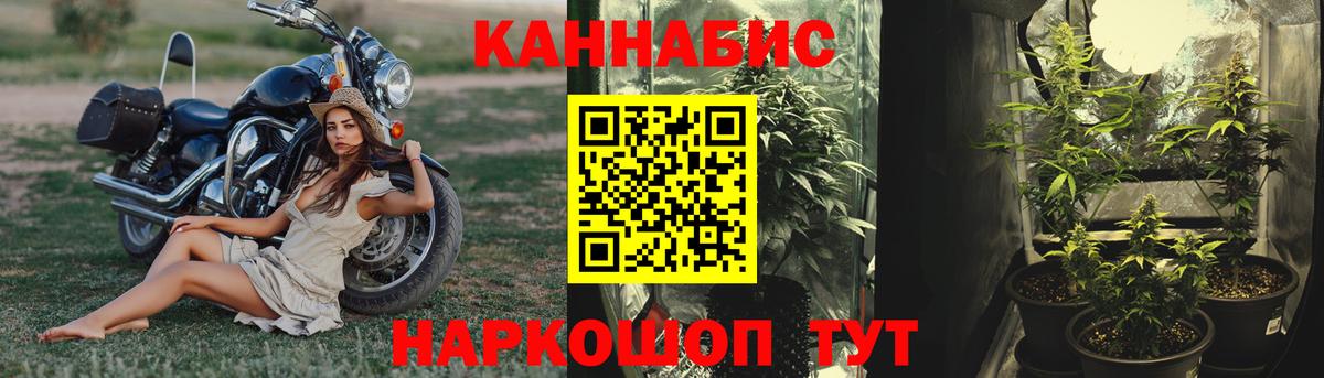 Ейск  Бошки марихуана планчик  Каннабис марихуана  Вход с VPN 